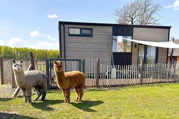 Ferienwohnung für 3 Personen in Borken