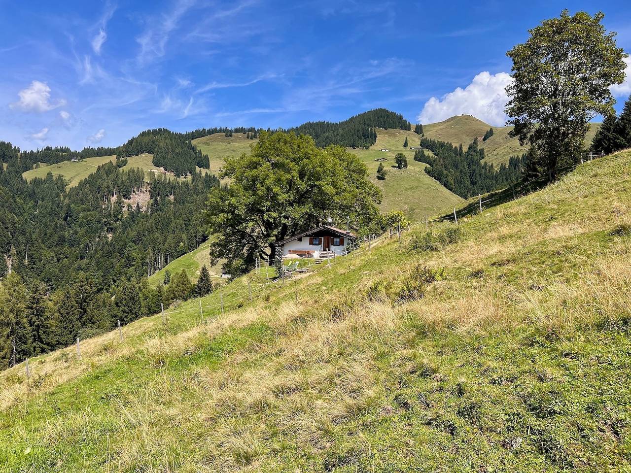 Aufinger Alm in Walchsee, Chiemgauer Alpen