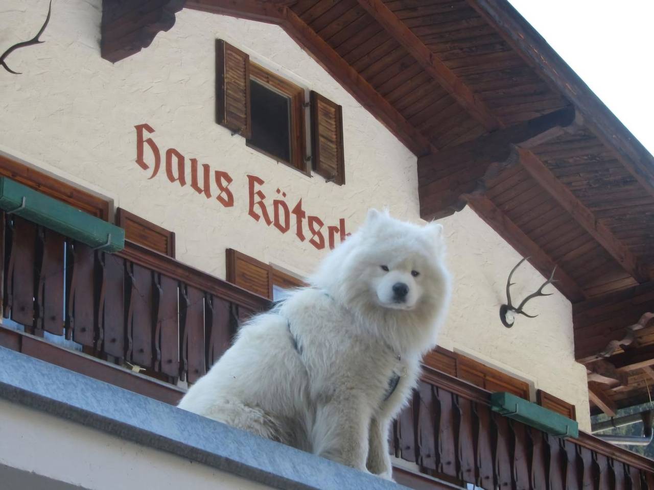 Apartamento entero, Haus Kötschach in Región de Bad Gastein, Ski Amadé