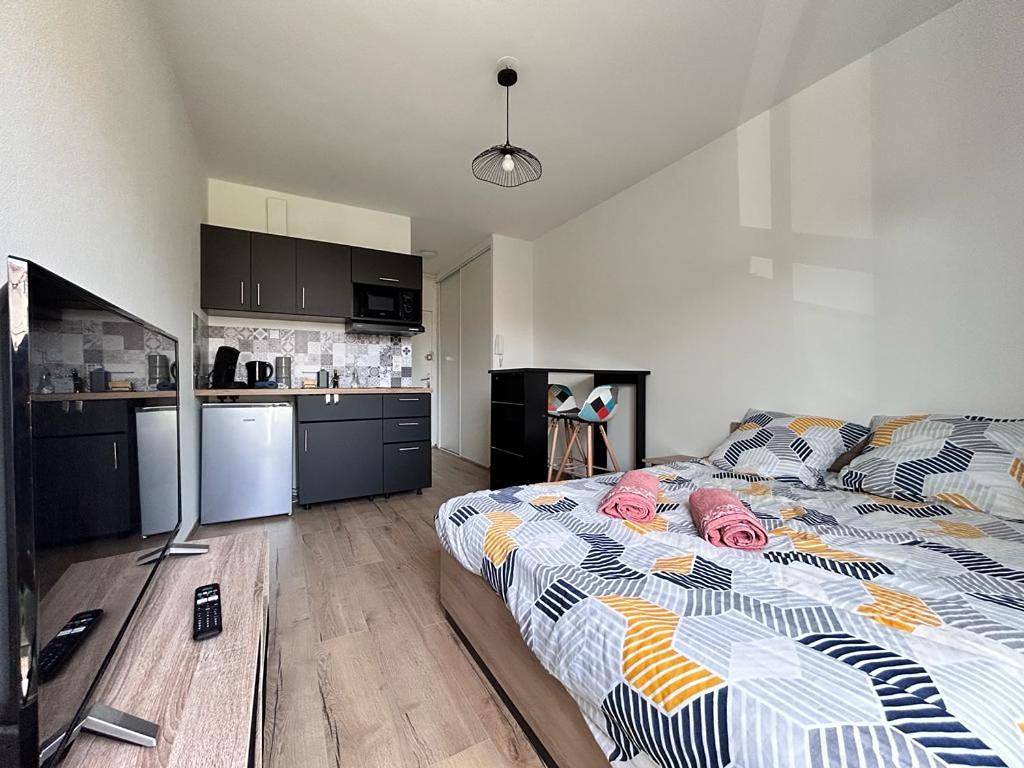 Appartement entier, Studio confortable et lumineux proche des hôpitaux - Hotel de ville Beaumont in Beaumont (Puy-de-Dôme), Parc naturel régional des Volcans d'Auvergne