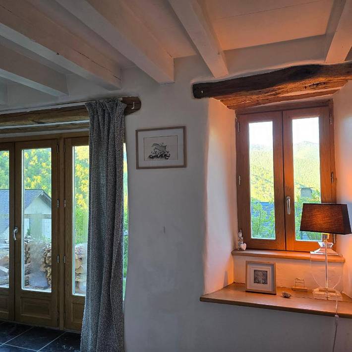 Gîte pour 9 personnes, avec jardin et vue, animaux acceptés à Massat - 4