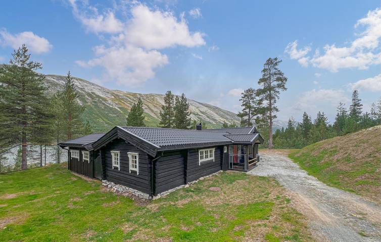 Ferienhaus für 8 Personen mit Terrasse in Skjåk