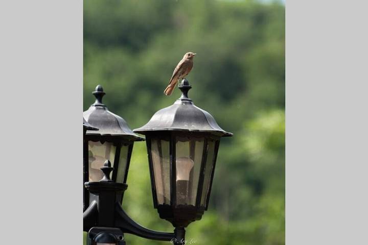 Location de vacances pour 4 personnes, avec sauna ainsi que jardin et jacuzzi à Chouvigny - 3