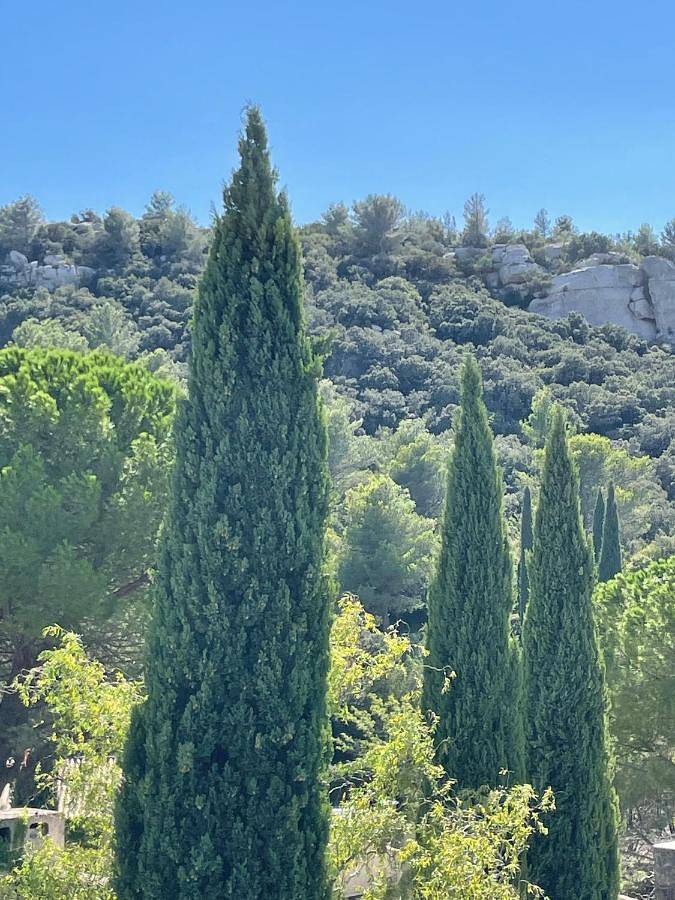 Location de vacances pour 4 personnes, avec jardin ainsi que vue et piscine à Les Baux-de-Provence - 4