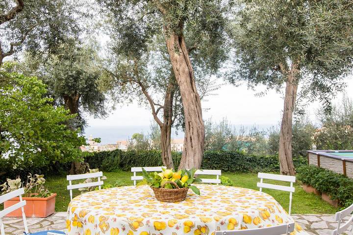 Amore Rentals - Villa Stella con Piscina Privata, Vista Mare, Terrazzi e Parcheggio in Massa Lubrense, Sorrento Coast