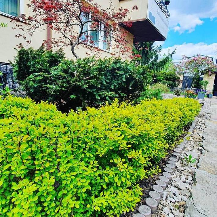 Chambre d’hôte pour 2 personnes, avec jardin à Varsovie - 4