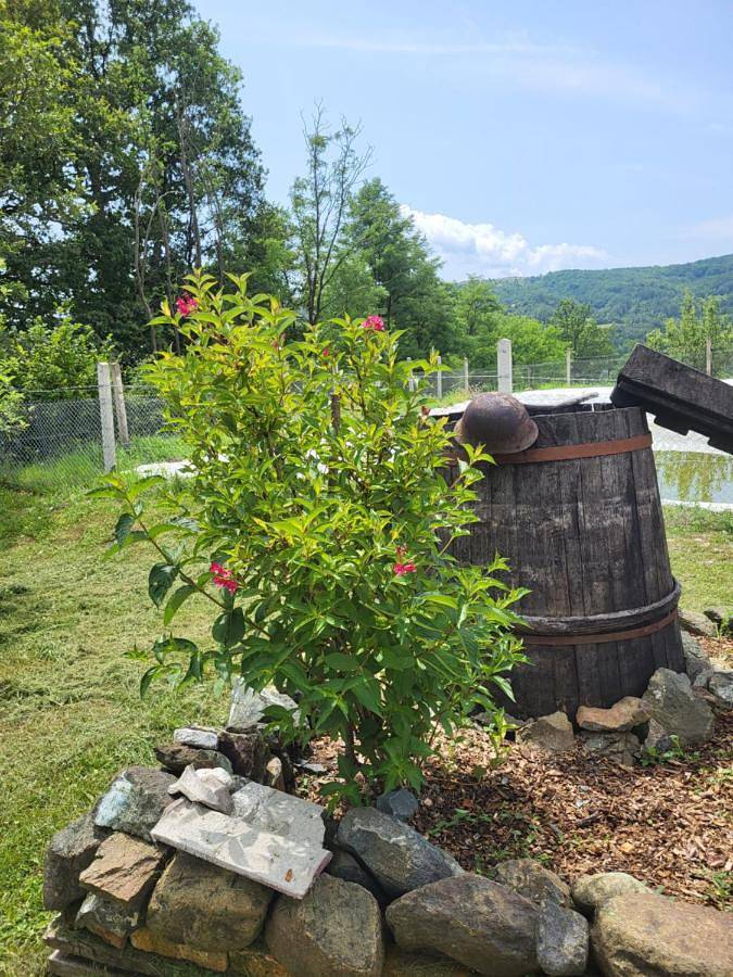 Location de vacances pour 3 personnes, avec vue et jardin à Kosjerić - 2