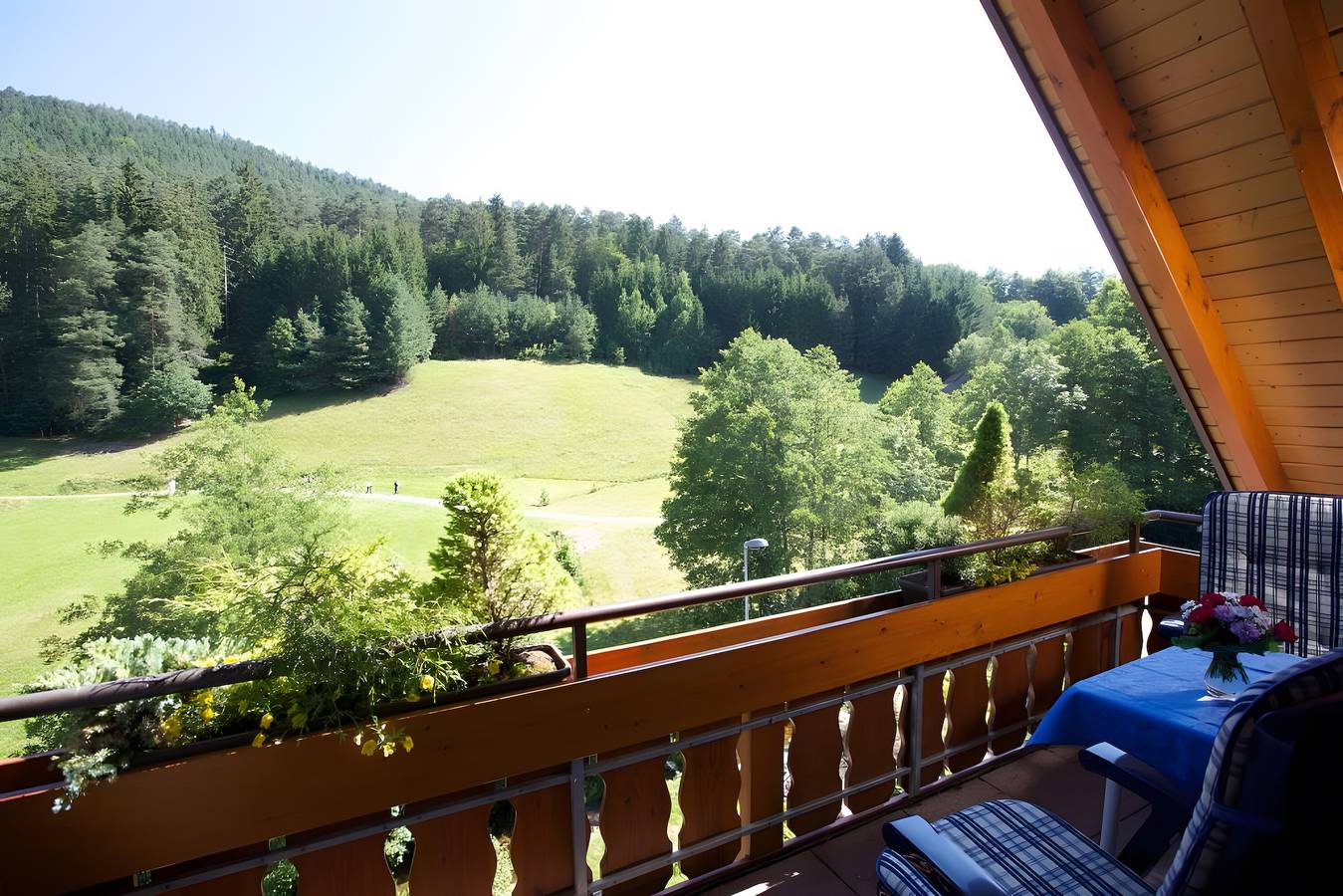 Appartement entier, Appartement de vacances type C 41, 35 m², 1 salon/chambre, max. 2 personnes in Tonbach, Baiersbronn