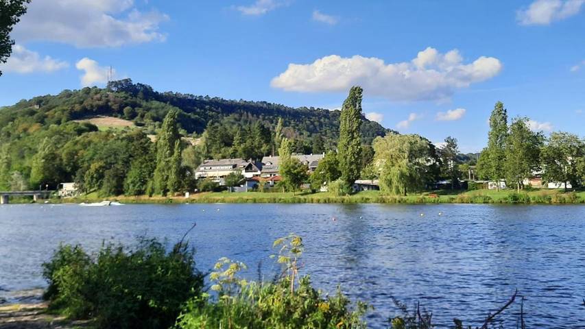 Hôtel pour 2 personnes, avec terrasse, animaux acceptés à Ralingen