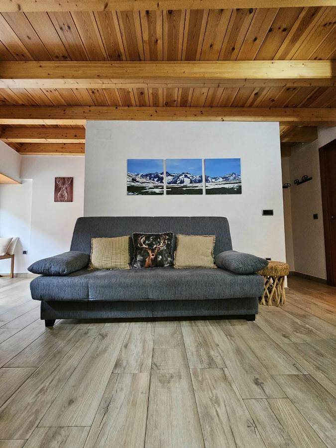 Location de vacances pour 4 personnes à Bossòst - 2