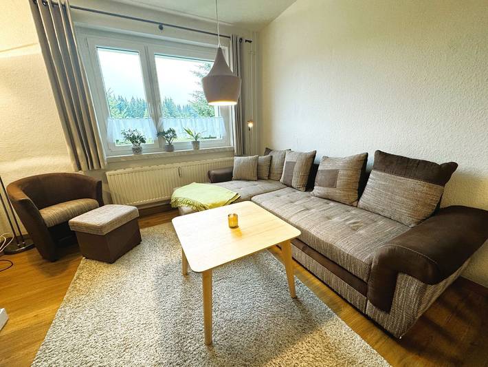 Ganze Wohnung, Natur erleben in Weitersglashütte – gemütliche Wohnung mit Balkon in Eibenstock, Erzgebirge