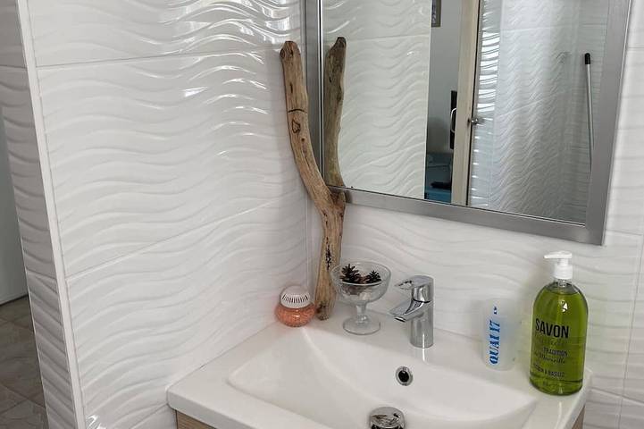 Gîte pour 2 personnes, animaux acceptés à Saint-Georges-d'Oléron - 4