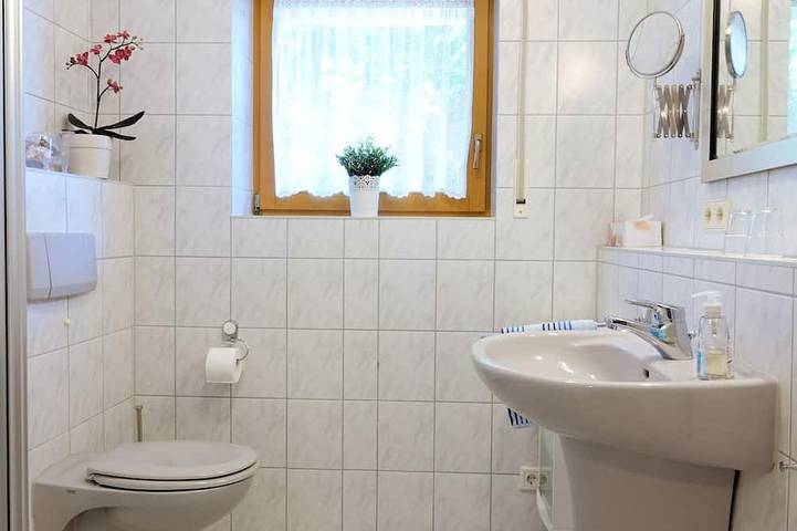 Gîte pour 3 personnes, avec terrasse dans Neckargemund - 3