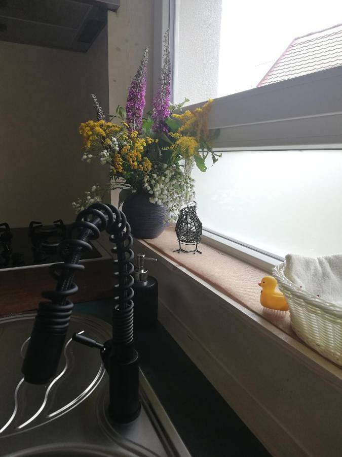 Appartement entier, One-Bedroom Apartment in Schwabwiller, Betschdorf