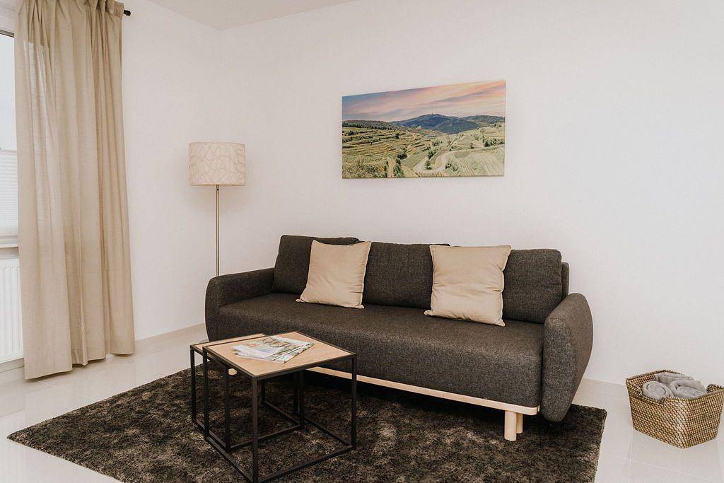 Ganze Ferienwohnung, Appartement "Am Weinberg" mit Terrasse in Bötzingen, Kaiserstuhl