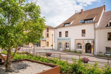 Hôtel pour 4 personnes, avec terrasse et jacuzzi ainsi que sauna et piscine, animaux acceptés à Charolles