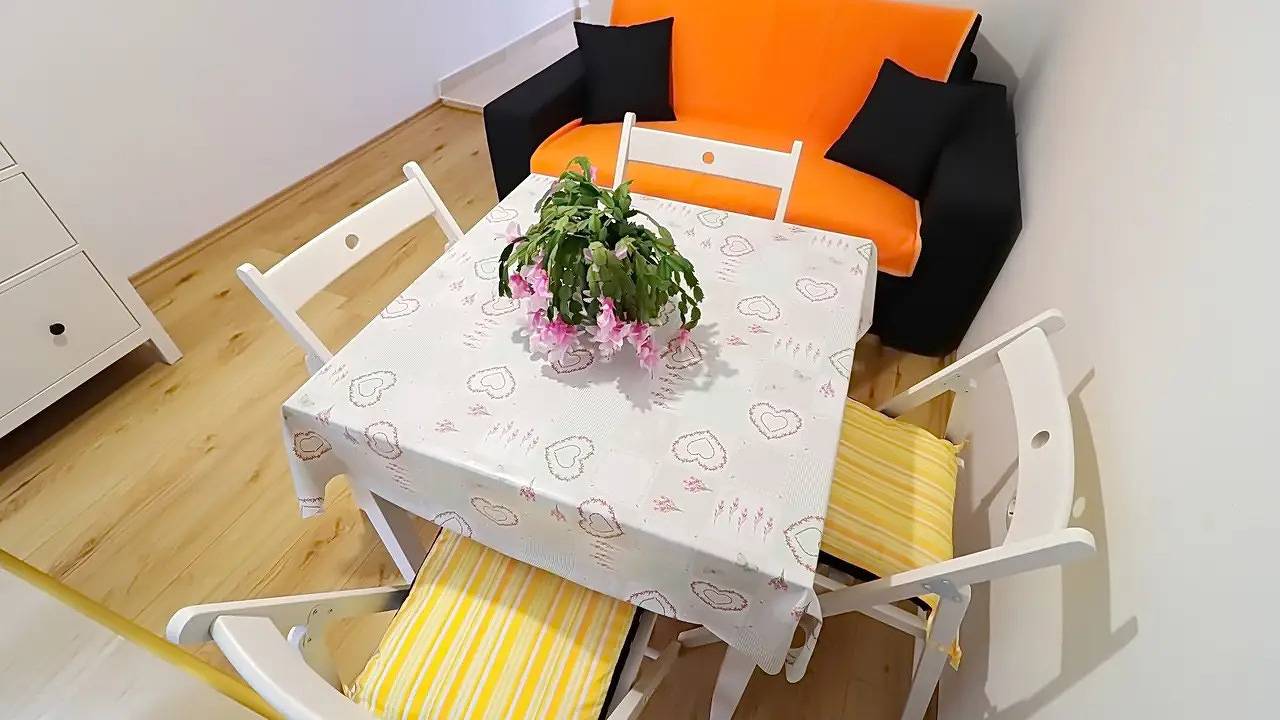 Ganze Ferienwohnung, Ferienwohnung für 3 Personen (30 m²) in Goveđari in Mljet