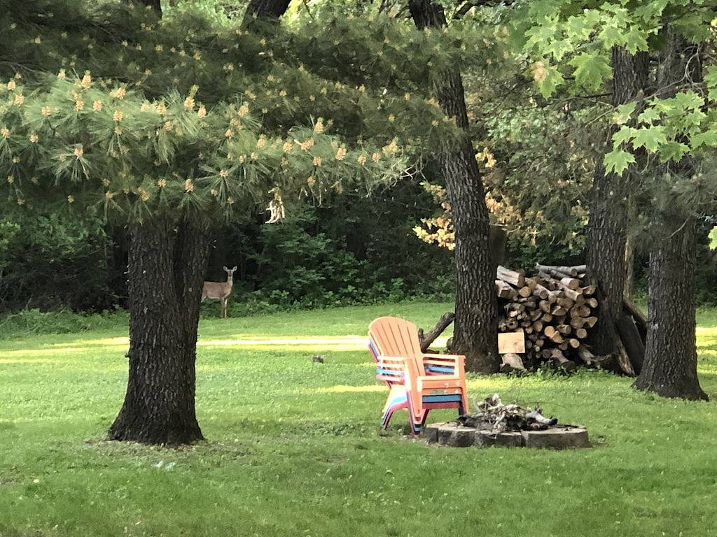 Malerische Abgeschiedenheit, nur wenige Schritte von den Backwaters des Mississippi entfernt. in Pierce County (WI)