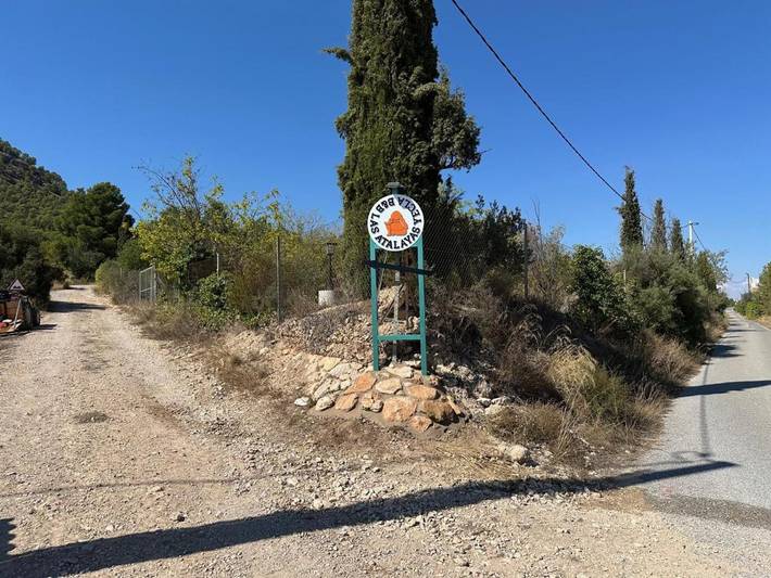 Chambre d’hôte pour 2 personnes, avec piscine ainsi que vue et jardin à Yecla - 3
