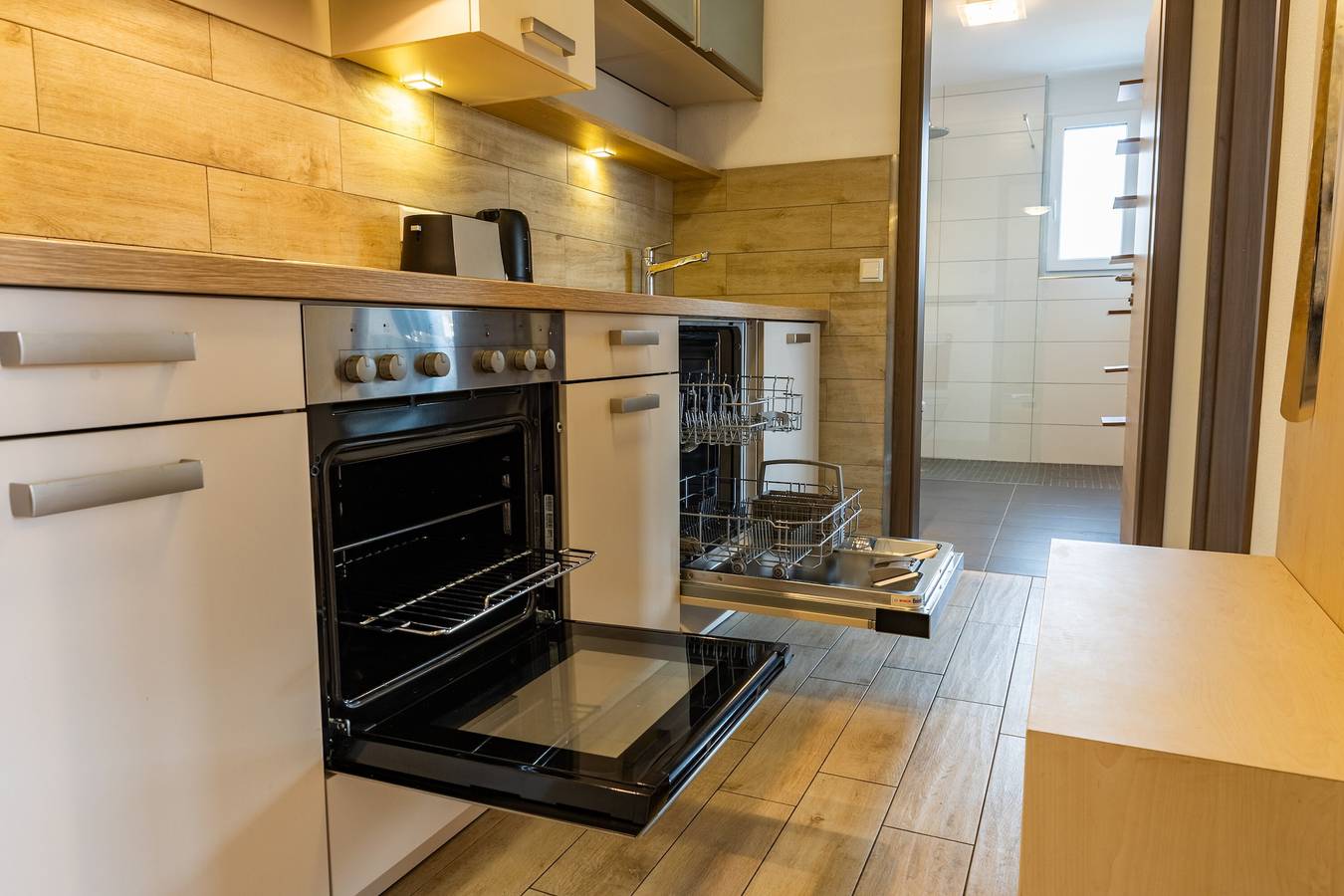 Ganze Wohnung, Deluxe-Apartment Aachhorn mit Seeblick, Balkon und Wi-Fi, 65qm in Bodman-Ludwigshafen, Obersee (Bodensee)