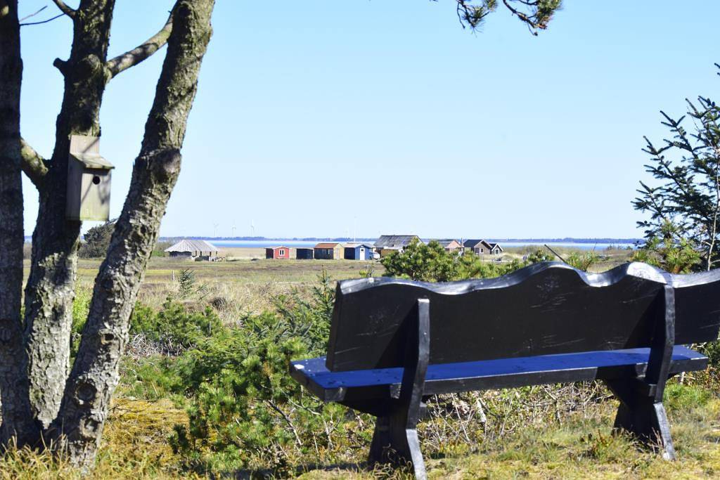 Schönes Ferienhaus mit Kaminofen und herrlichem Blick auf den Nissum Fjord in Ulfborg, Nissum Fjord