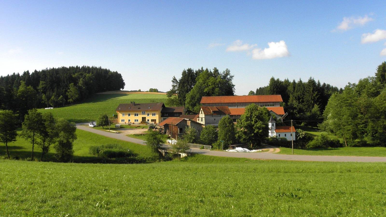 Kinder- und Familienbauernhof Fingermühl - Ferienwohnung Hofblick in Michelsneukirchen, Ostbayern