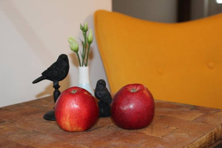 Ferienwohnung für 3 Personen, mit Terrasse und Garten sowie Ausblick in Nordleda - 4