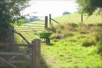 Cottage for 2 People in Guildford, Surrey Hills, Photo 2