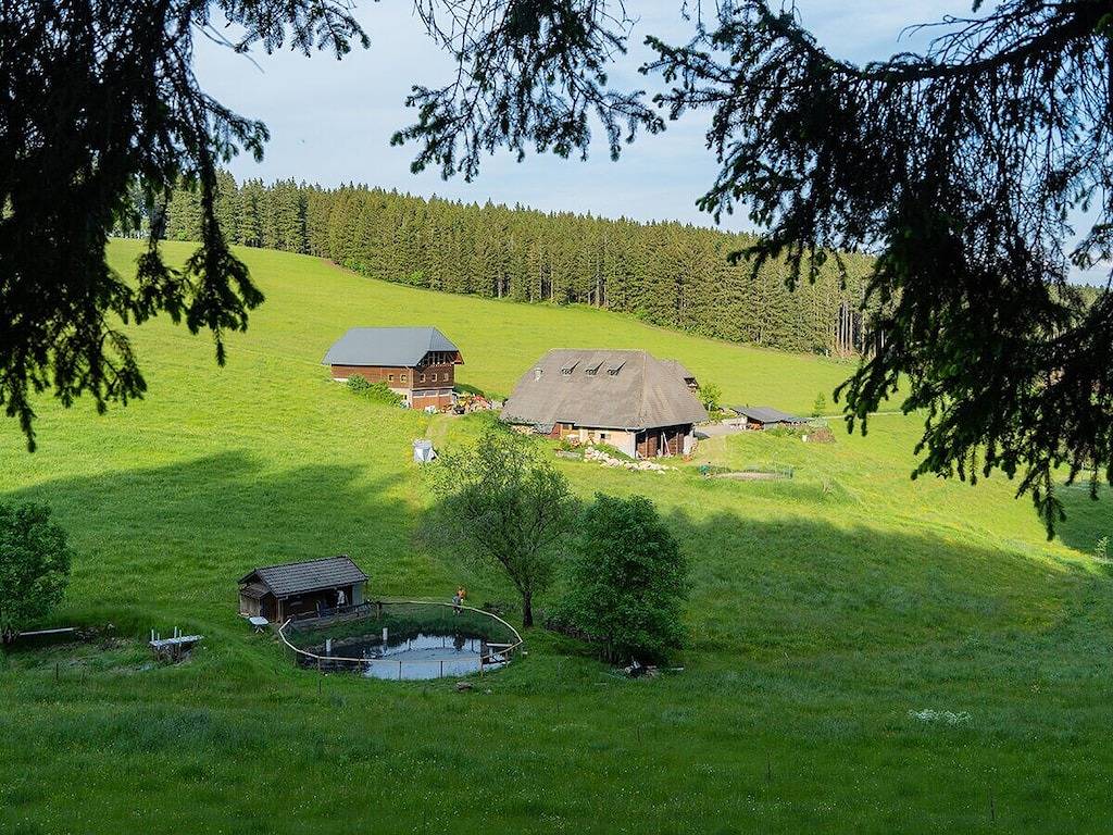 2 Bauernhof Kleinklausenhof in Vöhrenbach, Mittlerer Schwarzwald