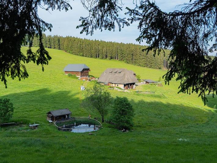 Ferienhaus für 5 Personen, mit Balkon und Garten, mit Haustier - 1