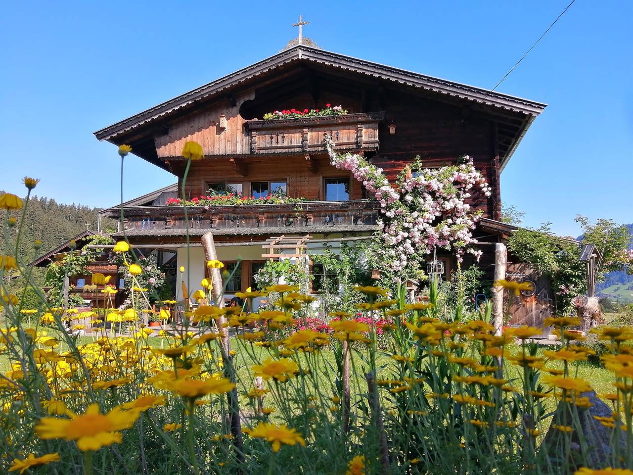 Ferienwohnung Thumahof in Wildschönau, Kaisergebirge