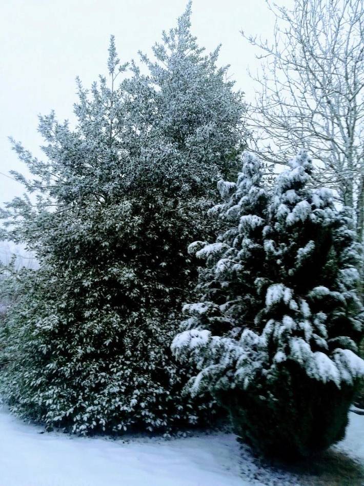 Casa rural para 12 personas, con terraza además de vistas y jardín en Provincia de Orense - 2