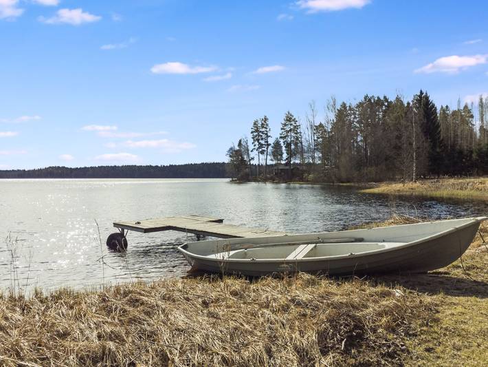 Keltavuokko in Majoosselkä, Ikaalinen