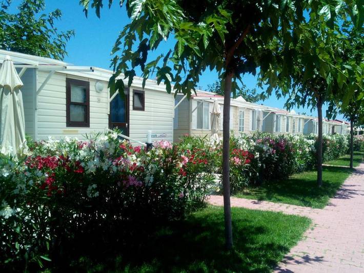 Camping für 5 Personen, mit Kinderpool in den Abruzzen - 2