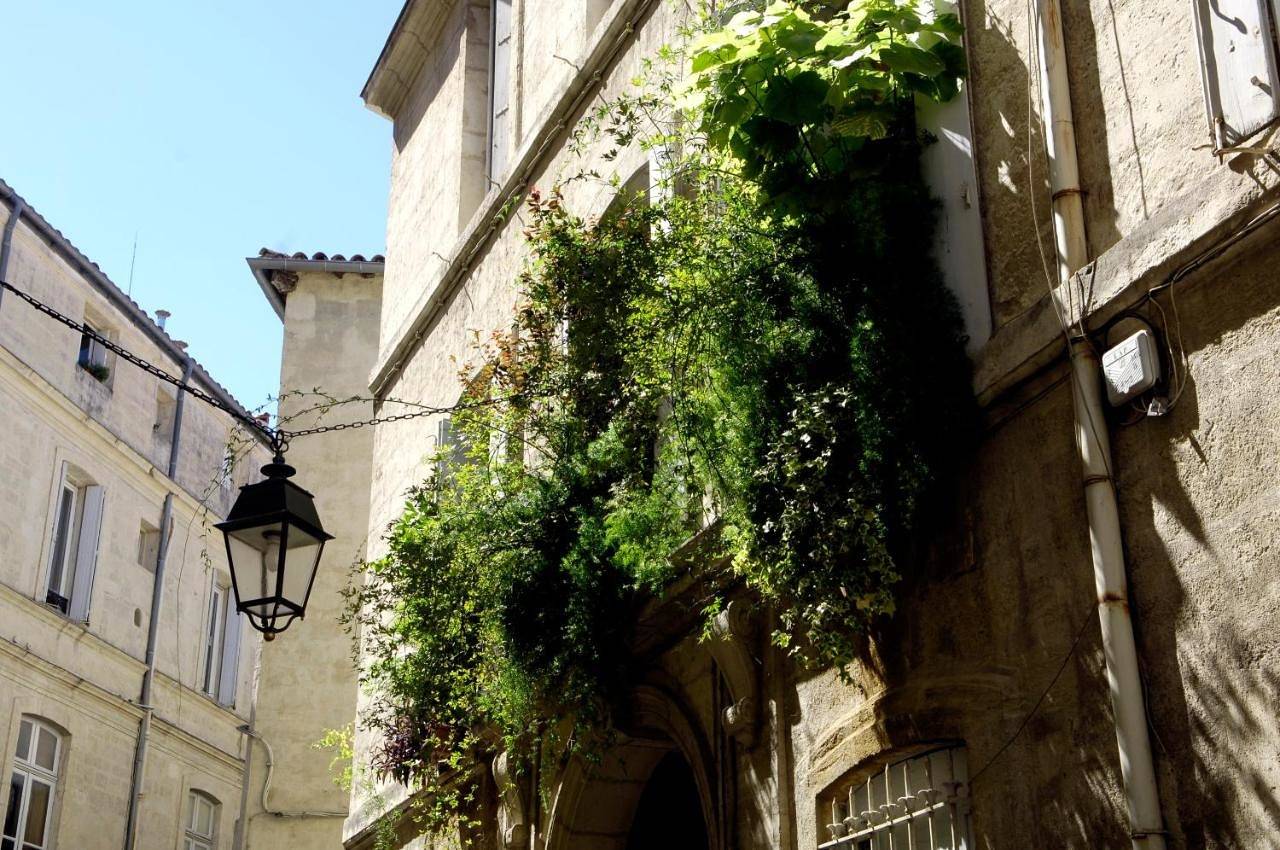 "Chambre d'Autres", massages in Montpellier, Côte d'Améthyste
