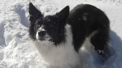 Vakantiewoning voor 4 Personen in Nauderer Berge, Nauders, Afbeelding 3