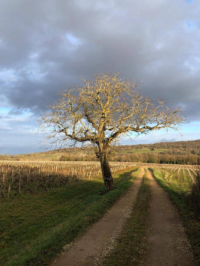 Location de vacances pour 6 personnes, avec terrasse à Vaux-en-Beaujolais - 3