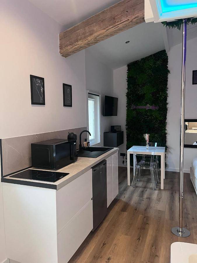 Gîte pour 2 personnes, avec terrasse ainsi que jacuzzi et jardin à Montaigut-sur-Save - 2