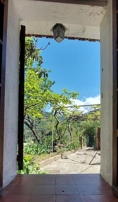 Gîte pour 6 personnes, avec vue et jardin à Sant'Andréa-d'Orcino - 4