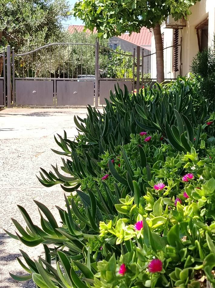 Ferienwohnung für 4 Personen, mit Balkon/Terrasse in Mali Lošinj - 4