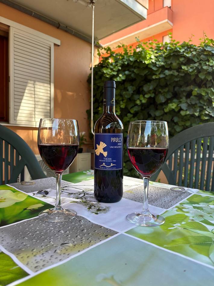 Appartamento intero, Appartamento 'La Casetta di Nonna Pia' con Giardino Privato, Wi-Fi e Aria Condizionata in Ponsacco, Pisa e dintorni