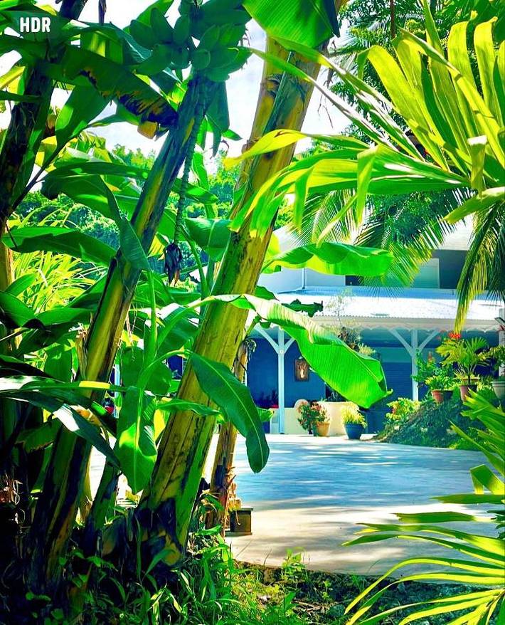 Maison d’hôte pour 3 personnes, avec jardin et vue dans Le Marin - 2