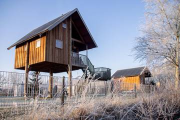 Glamping voor 5 Personen in Sallandse Heuvelrug, Twente, Afbeelding 1