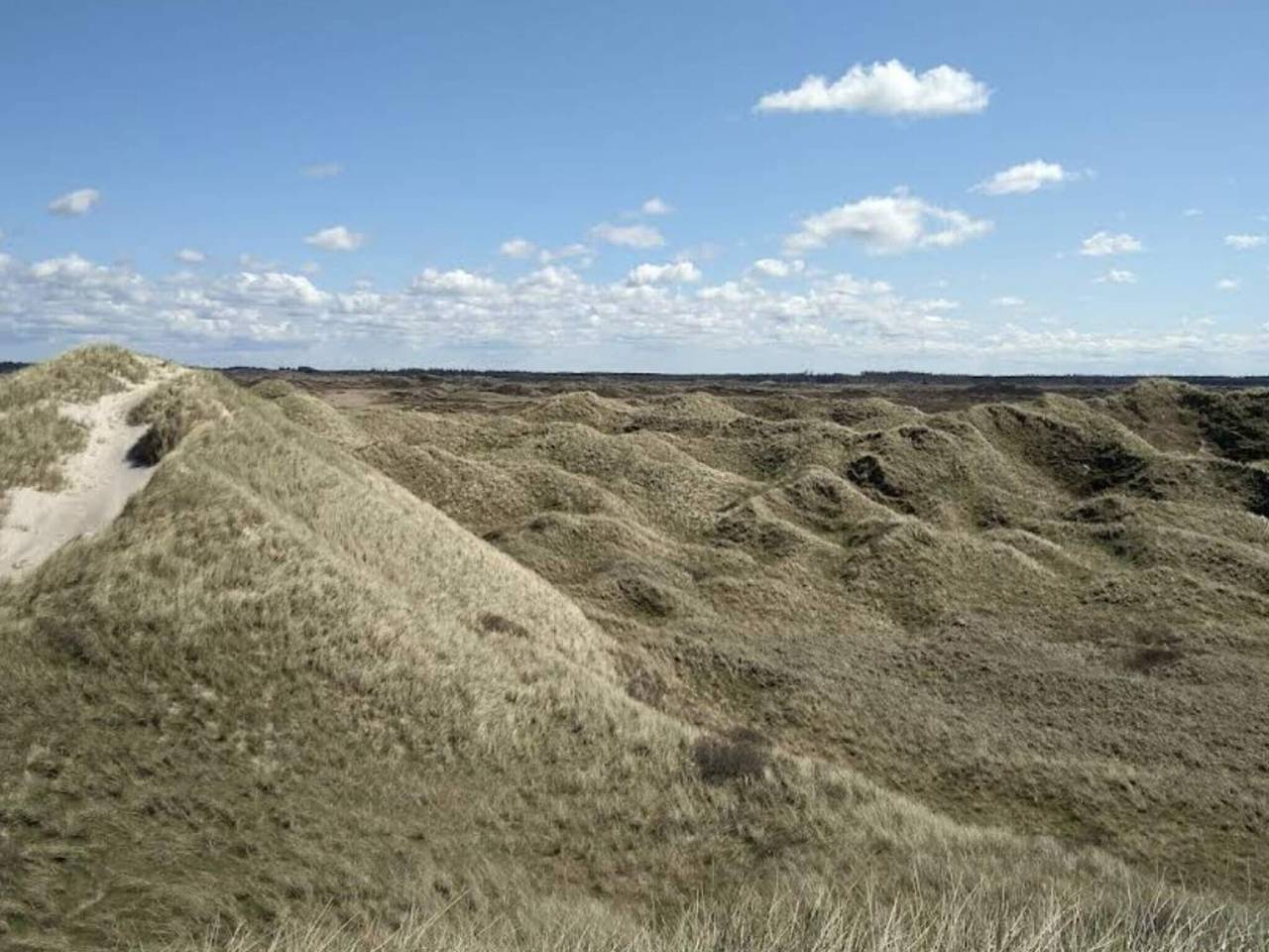 4 persoons vakantie huis in Blokhus in Blokhus, Jammeburgt
