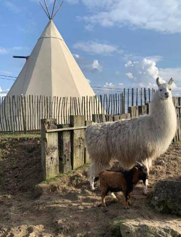 Gîte pour 5 personnes, animaux acceptés à Gesves