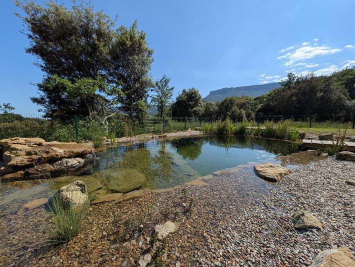 Casa rural para 6 personas, con Terraza y Jardín además de Piscina y Vistas en Mieres - 4