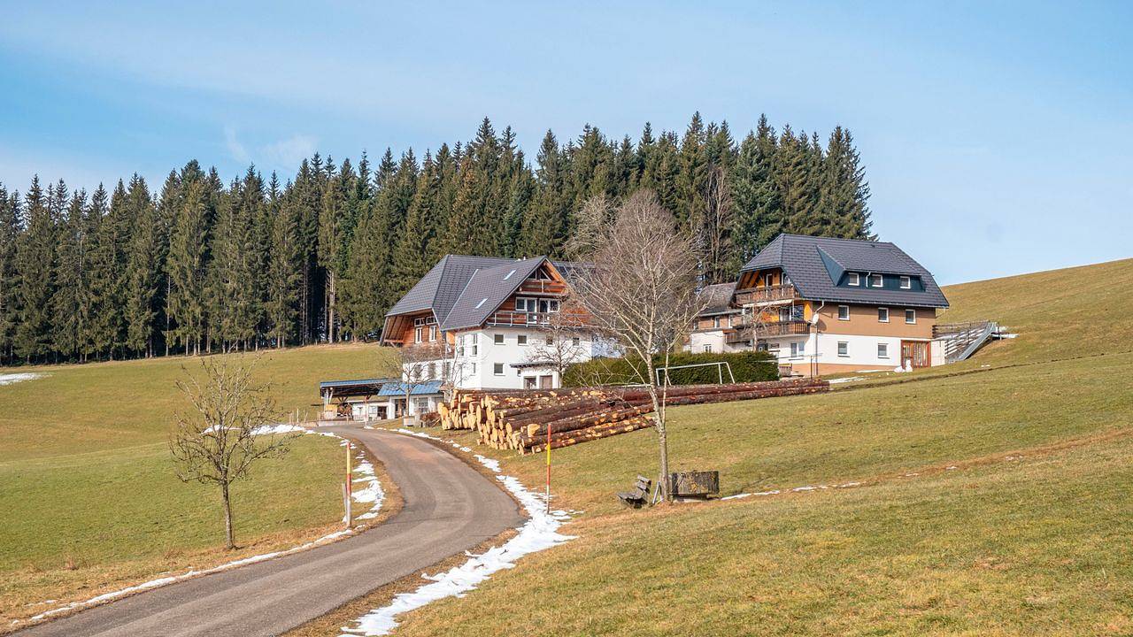 Ganze Ferienwohnung, Ferienwohnung für 2 Personen (38 m²) in Titisee-Neustadt in Suedlicher Schwarzwald, Titisee-Neustadt