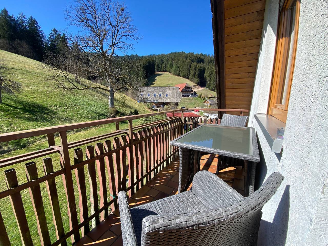 Ganze Wohnung, Apartment Abendsonne mit Bergblick, Gemeinschaftsgarten und Wlan in Bad Rippoldsau-Schapbach, Mittlerer Schwarzwald