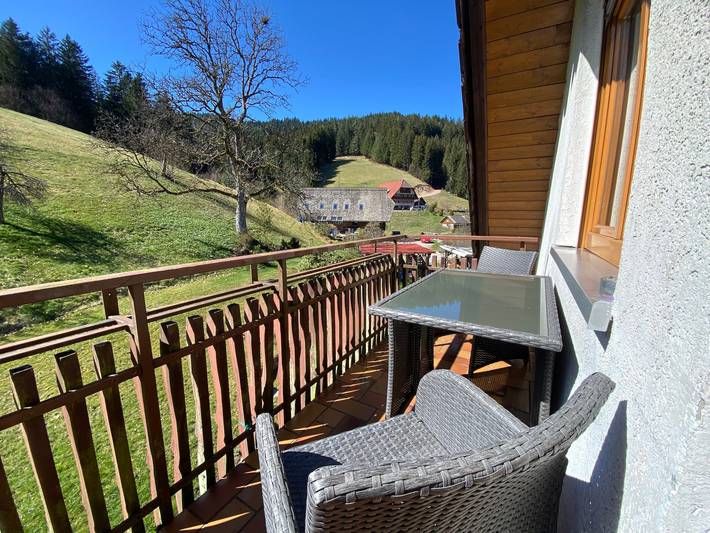 Ferienwohnung für 3 Personen, mit Balkon und Garten in Nationalpark Schwarzwald - 2