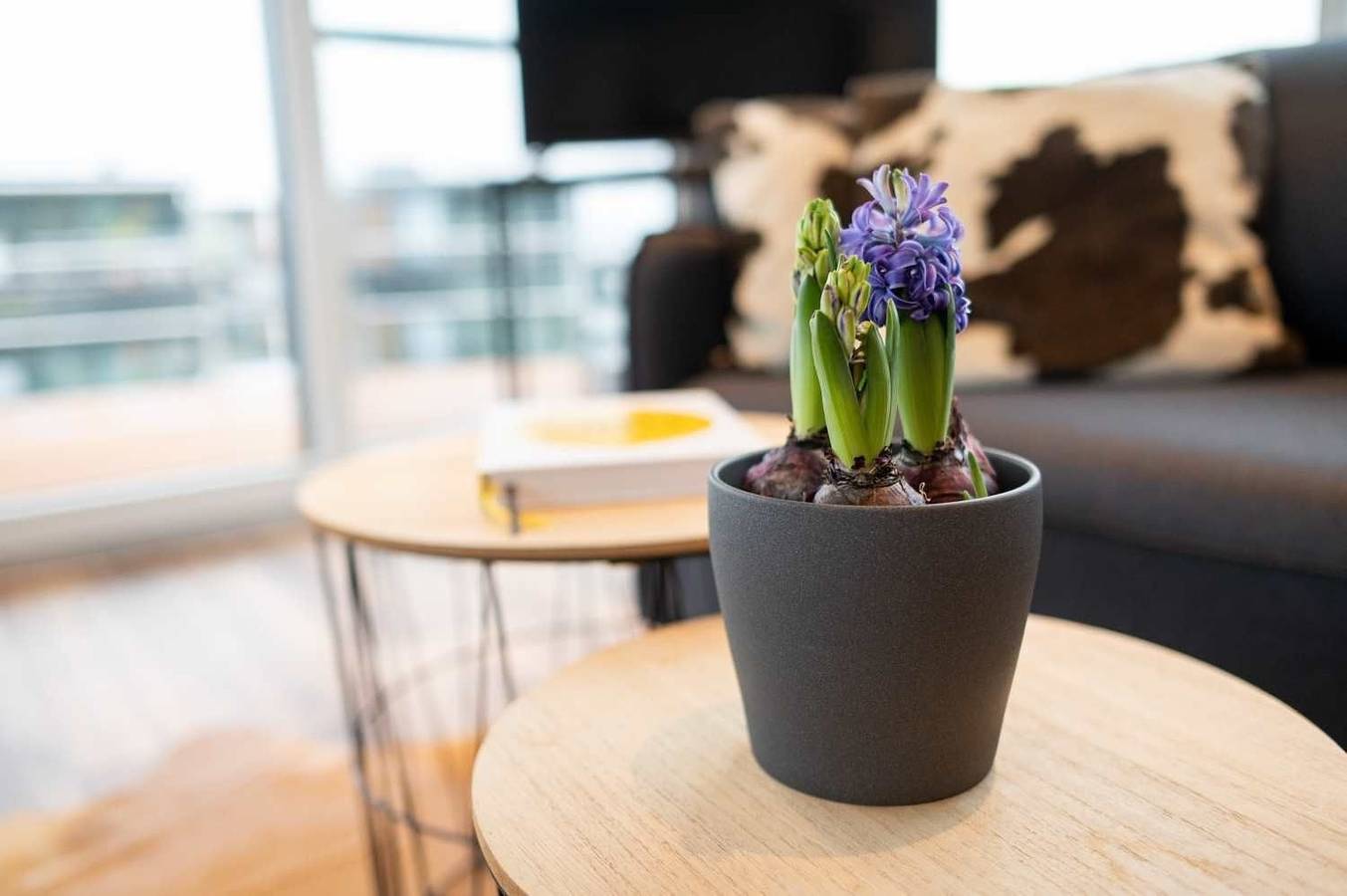 Hausboot Atlantis in Bärwalder See, Boxberg (Oberlausitz)